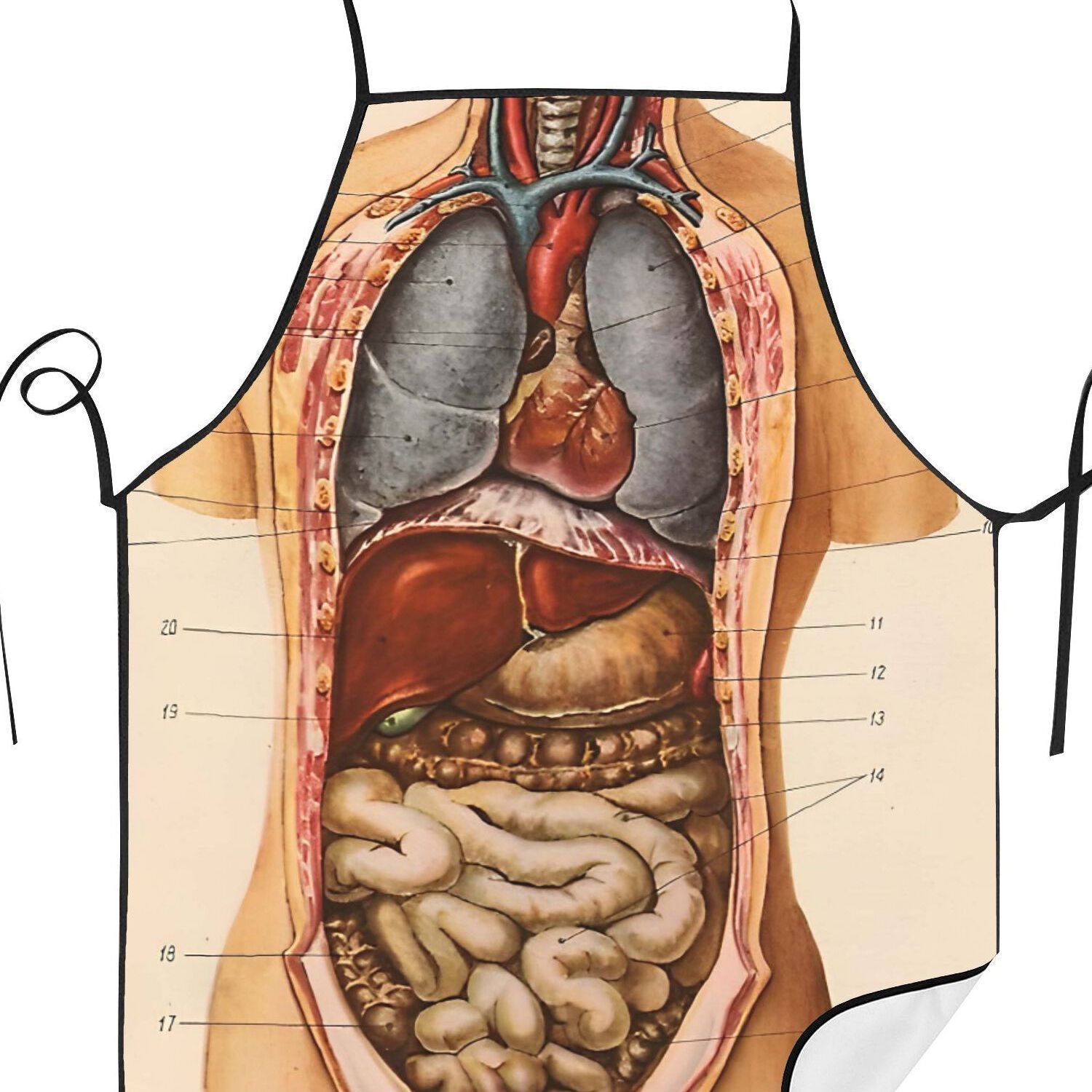 TEMU Grembiule da cucina per adulti per chef e camerieri, con tasche e progettato per l'uso al barbecue.