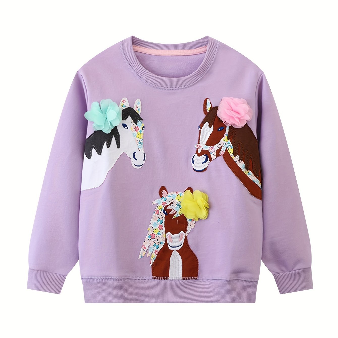 Image of Spring/autumn Girls' Long-sleeve Sweatshirt With Cute Cartoon Embroidered Pony And Flowers, Soft Cotton Terrycloth Base Layer Children's Top