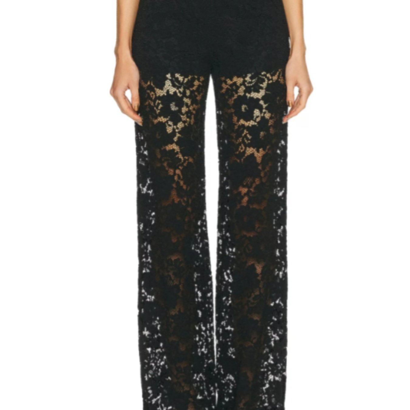 パンツ meltthelady lace sheer pants Bubbles - meltthelady lace sheer pants Mの通販 by みな's