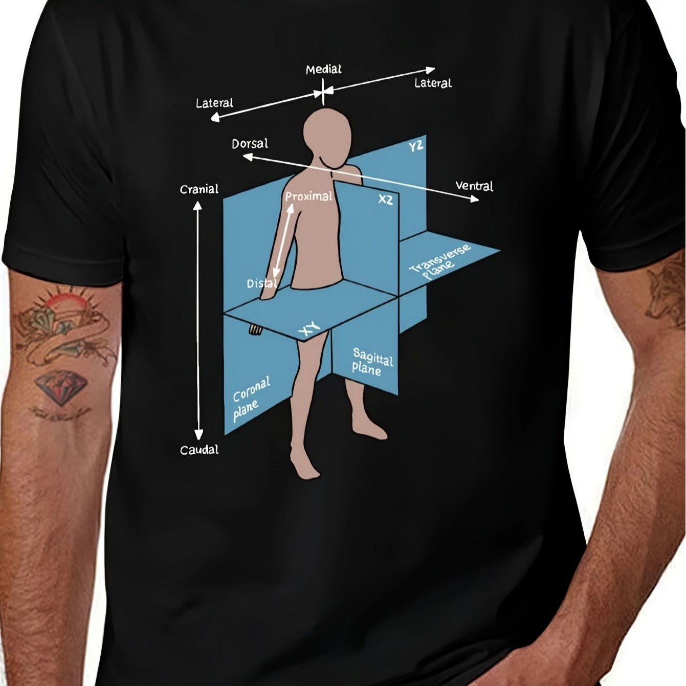 Medical Anatomy T-shirt With Labeled Spine, Ribs, Organs & /ventral Planes - Human Anatomy Chart Graphic Tee For Nurses, Doctors, Medical - Unisex Casual Loose Fit Short Sleeve Shirt