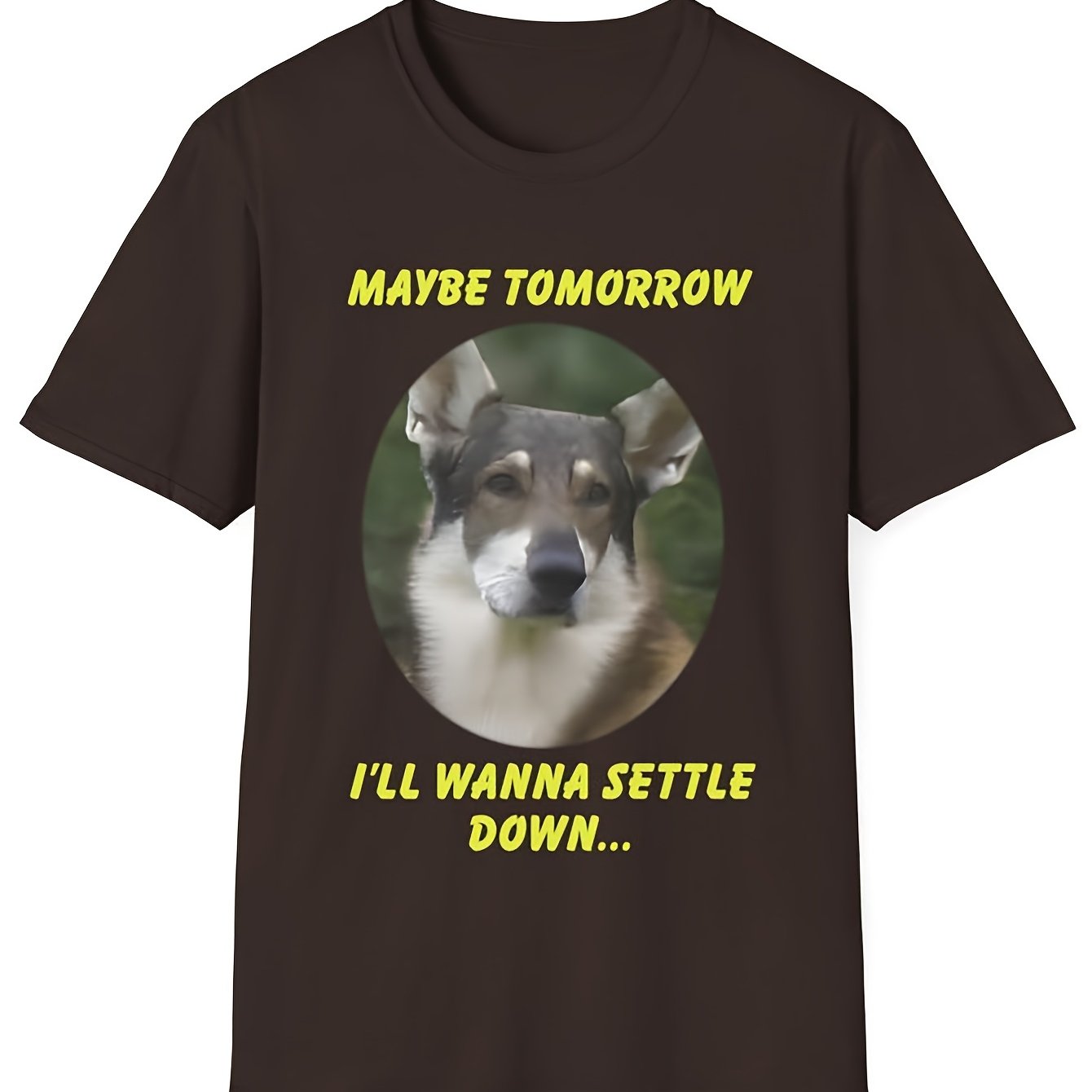 TEMU Nouveau Cadeau T-shirt The Little Stray, Célébrant la de la Télévision Canadienne, T-shirt Unisexe