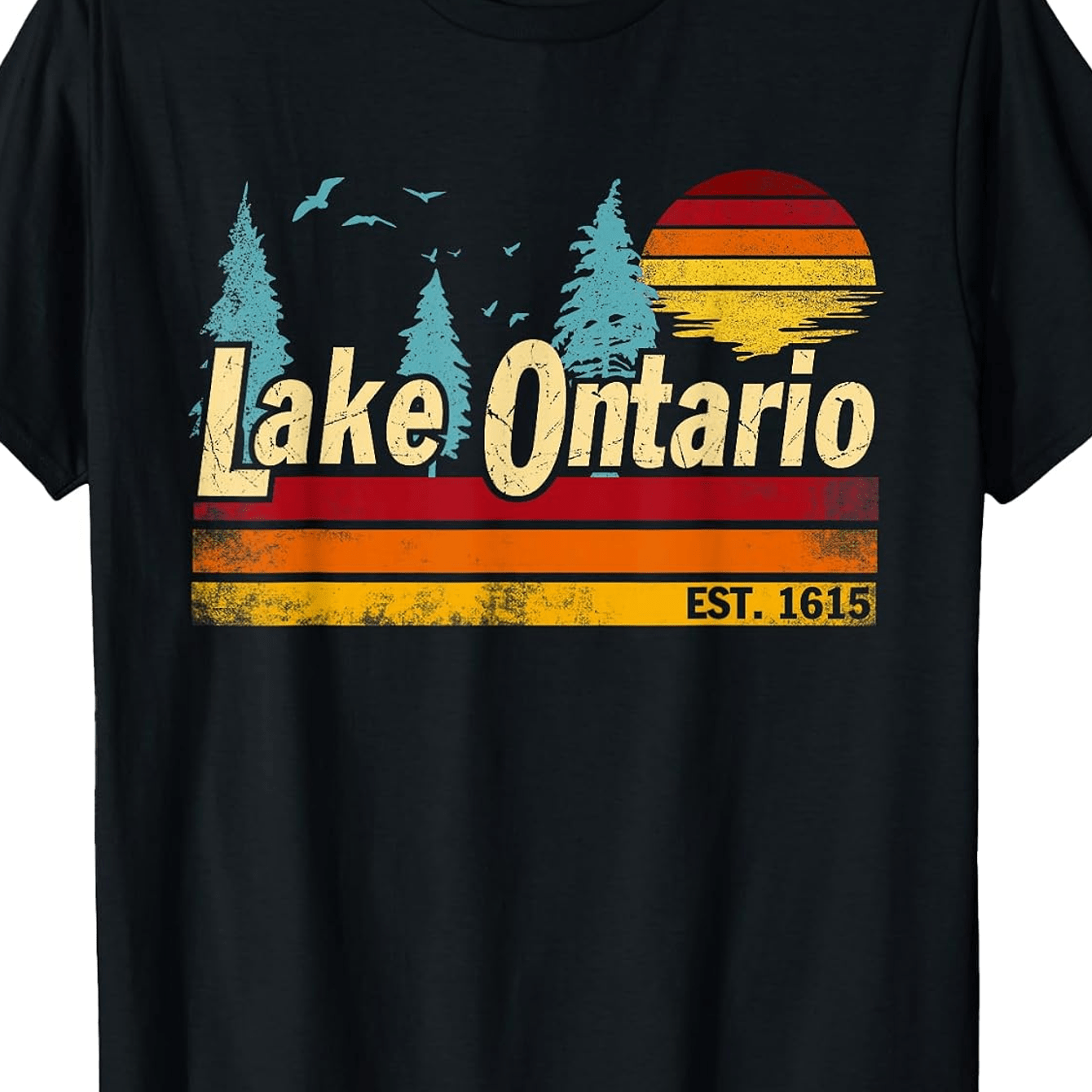 TEMU T-shirt Vintage Homme Femme, T-shirt Rétro Vintage Paysage , T-shirt Graphique Nature Grands , T-shirt de Voyage Air