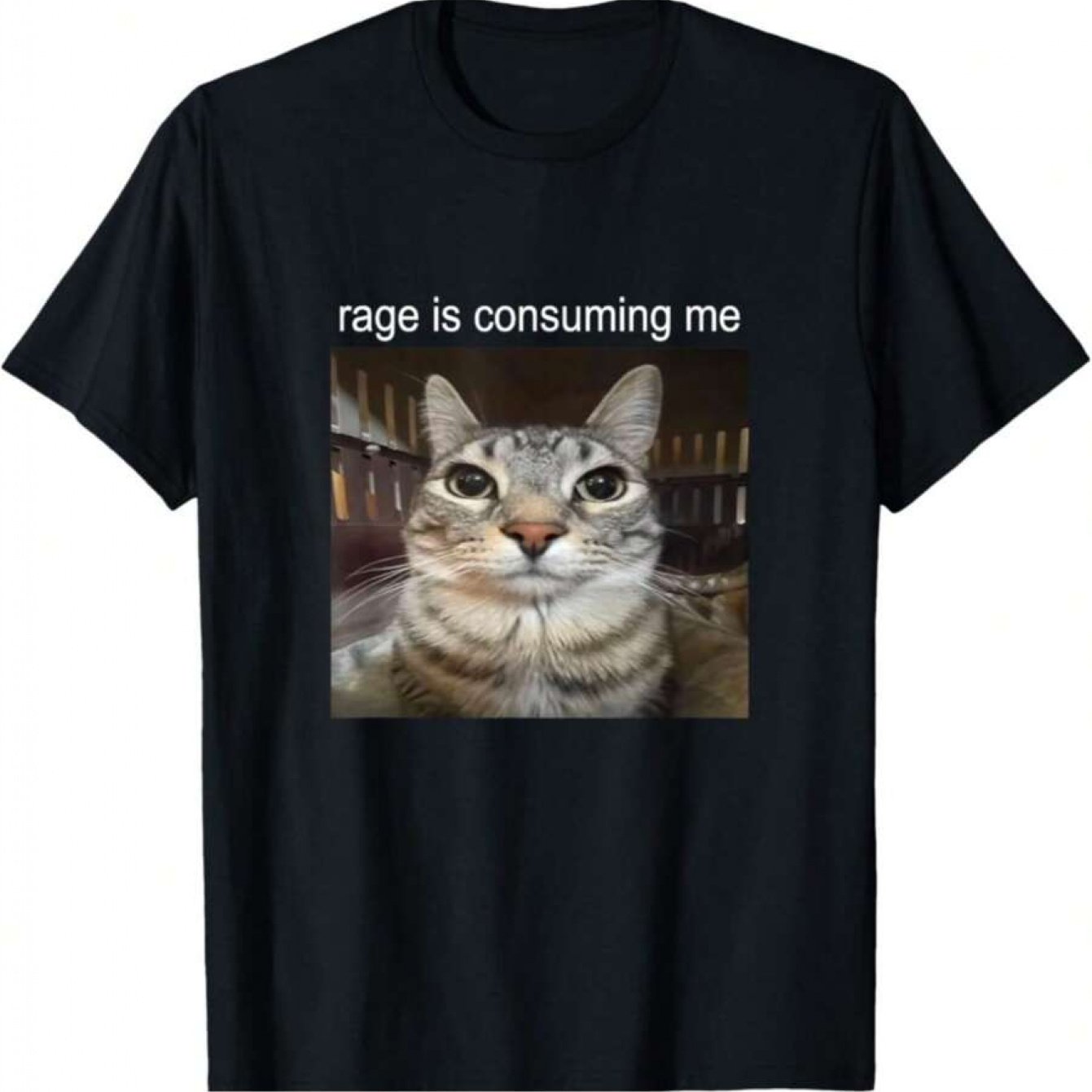 TEMU Rae Is Consumin Me Silly T-shirt