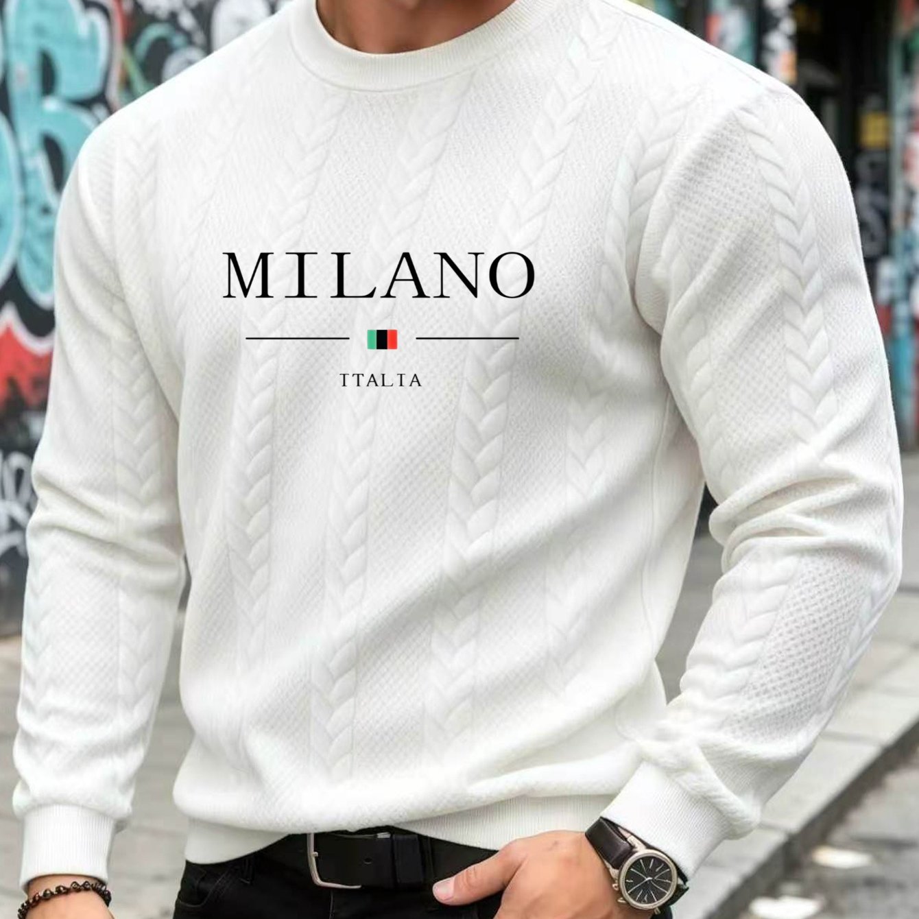 TEMU Trendy Comfortable Breathable Italia Print Cable Knit Texture Novelty Sweatshirt
