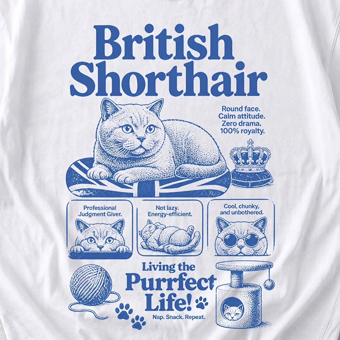 Image of British Shorthair Cat T Shirt Men Funny Retro Cat Aesthetic Comfortable Leisure Daily Christmas Gift For Dad Male 180g Cotton T Shirt Crewneck