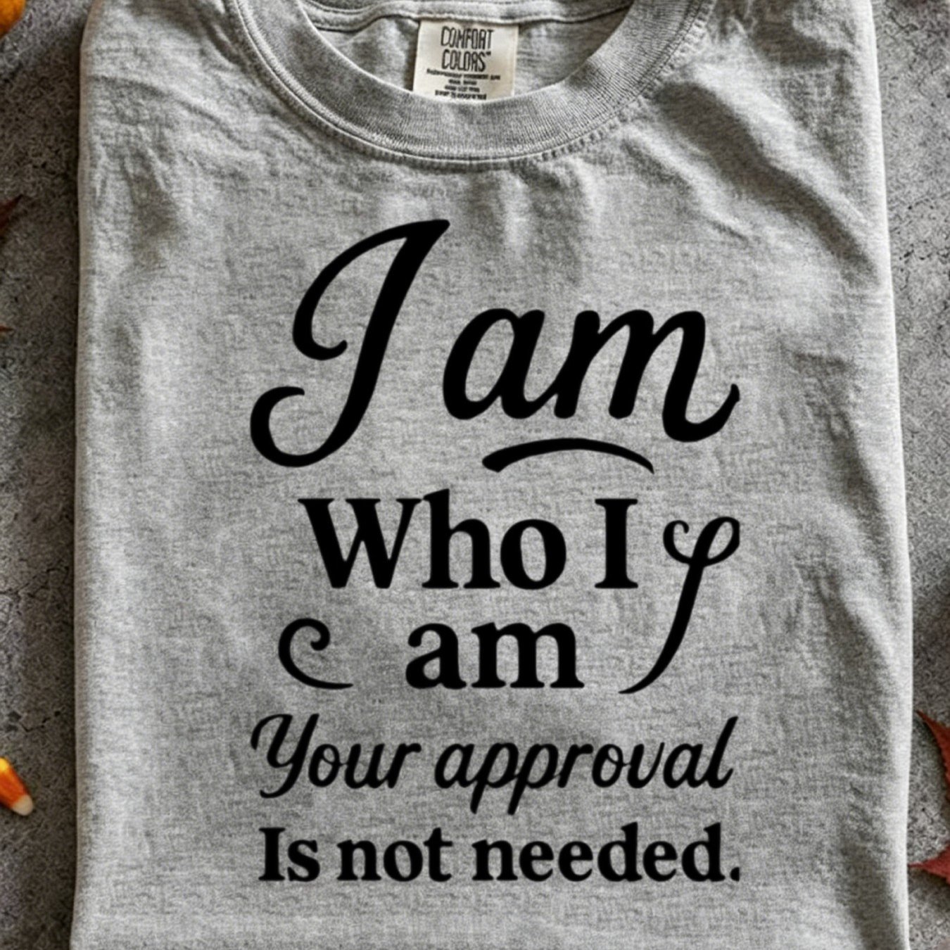 TEMU Plus Size, And 't Need Your Approval Long-sleeve Printed T-shirt Crew Neck Long Sleeves Women's Wear Regular Length Suitable For Travel Outfits