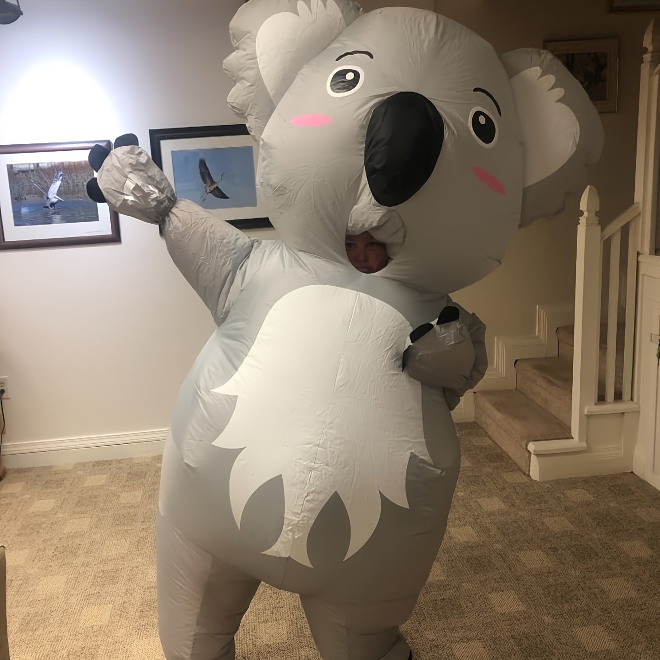 Image of Adult-sized Inflatable Koala Costume Made Of Thick Fabric, Halloween Loose Fit For Festive Parties (no Size Measurement Needed For The Inflatable Outfit)